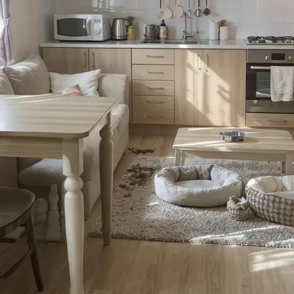 Уборка после собак в комнате - до уборки